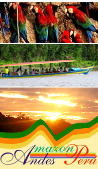 Amazon Andes Peru