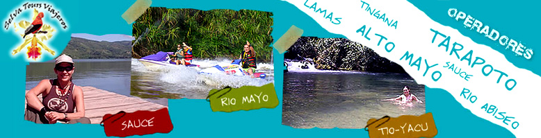 Selva Tours Viajeros Tarapoto, Moyobamba, Alto Mayo, Sauce